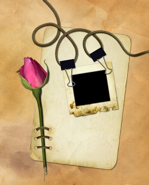 Grunge-Papier mit Rose auf altem Hintergrund — Stockfoto