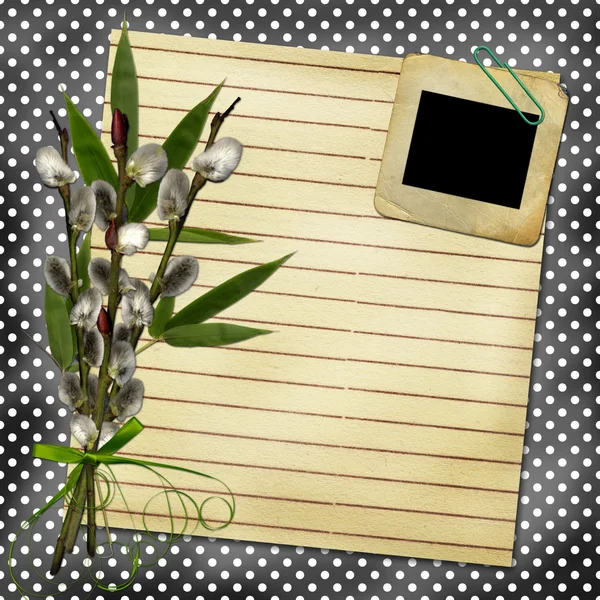 Levha ve willow tasarımı için kart — Stok fotoğraf