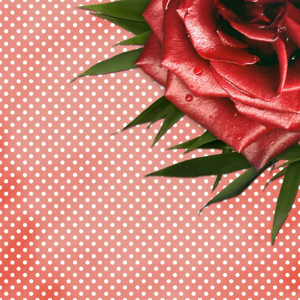 Grunge background with red rose for design — Stock Photo, Image