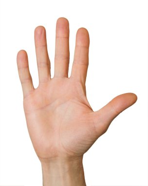 Hand clipart