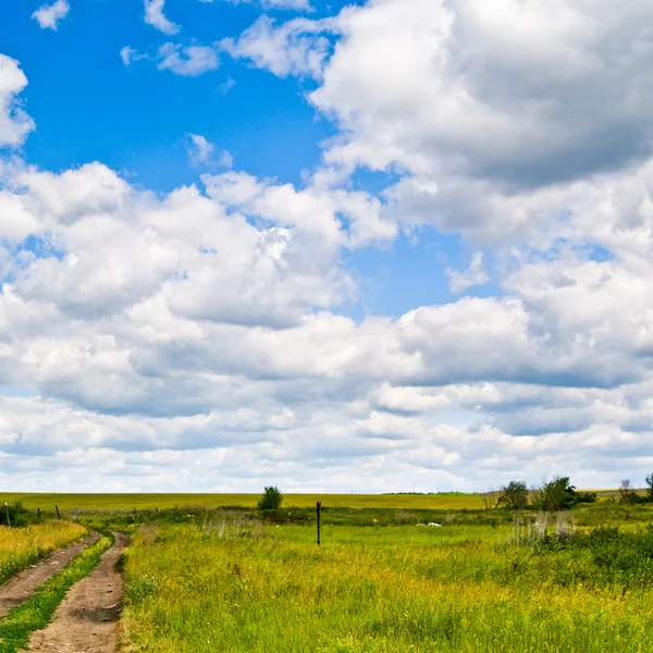 stock image Landscape