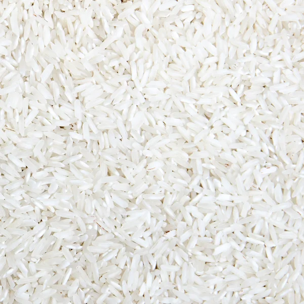 Рис — стоковое фото