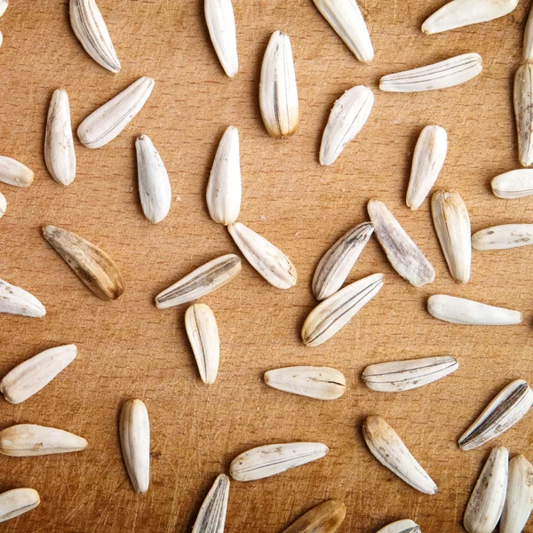 Seeds — Stock Photo, Image