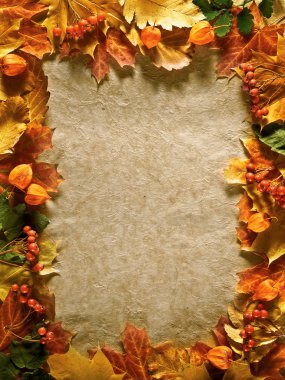Autumn background with colored leaves