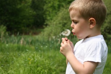 Boy and dandelion clipart