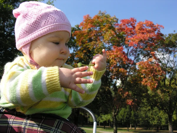 Немовля восени. сонце — стокове фото