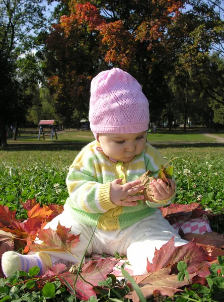 Baby sitting in leaves autumn — Stock Photo, Image