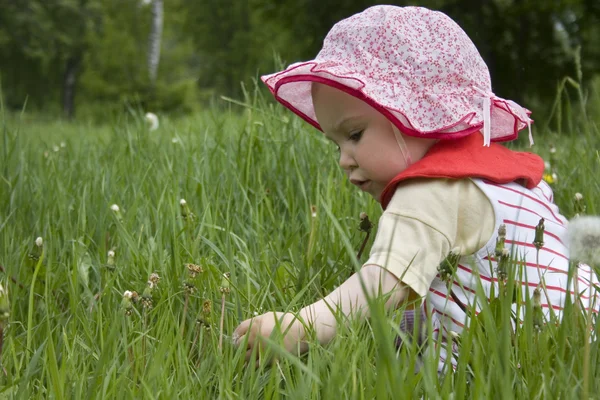 Bambino in erba — Foto Stock
