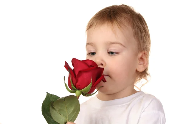 Dítě s růží — Stock fotografie