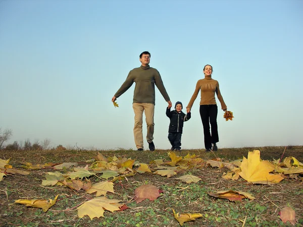 Camminando famiglia tramonto autunno foglie — Foto Stock