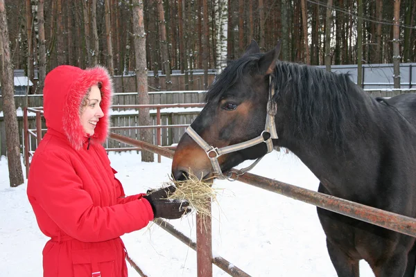 Menina de inverno com cavalo — Fotografia de Stock