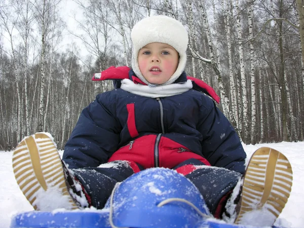 Boy on sled — Stock Photo, Image