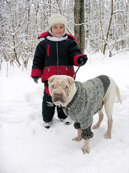 Chłopiec z psem w winter park — Zdjęcie stockowe