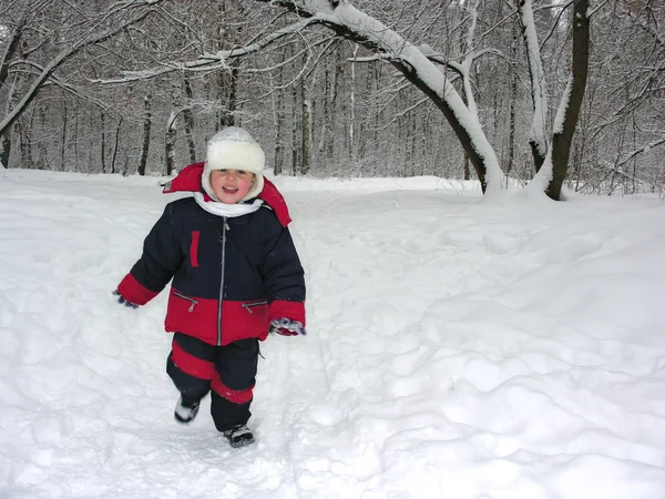 Correr menino em madeira de inverno — Fotografia de Stock