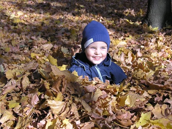 Jongen in maple Herfstbladeren — Stockfoto