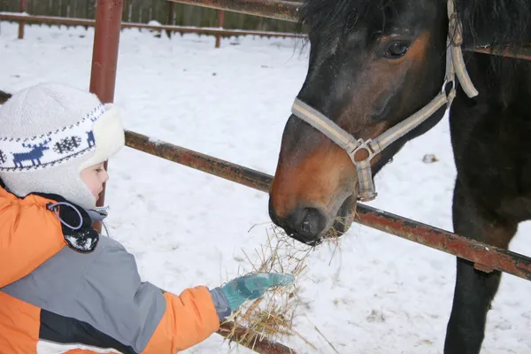 Zimní chlapec s koněm — Stock fotografie