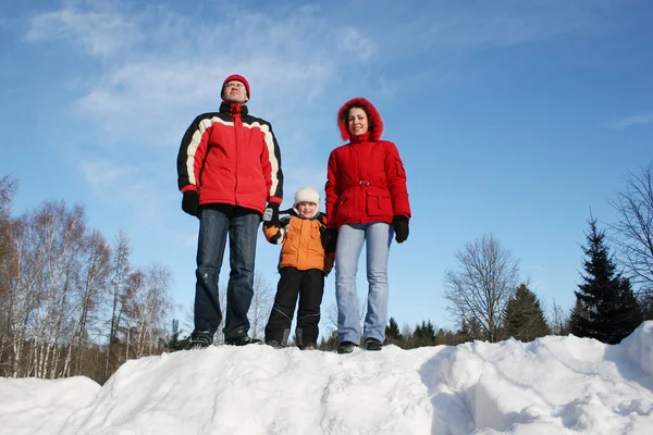 Rodina v zimě dřevo — Stock fotografie