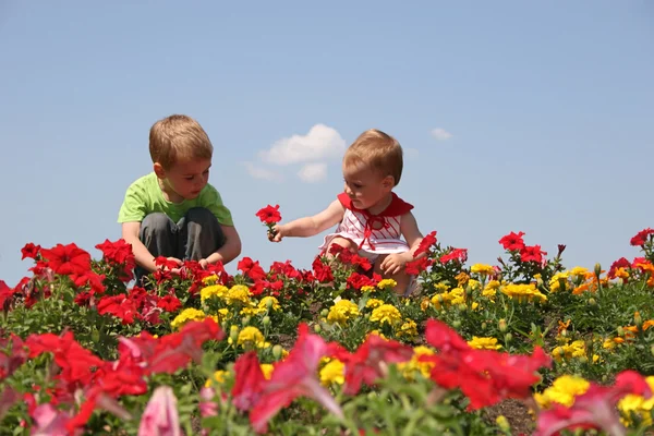 Ребенок и ребенок в цветах — стоковое фото