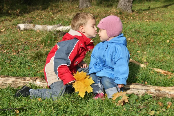 Дети целуются — стоковое фото