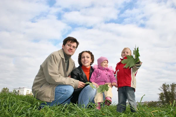 Семья из четырех человек. облака. трава — стоковое фото