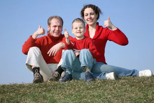 Família com bou OK gesto no prado — Fotografia de Stock