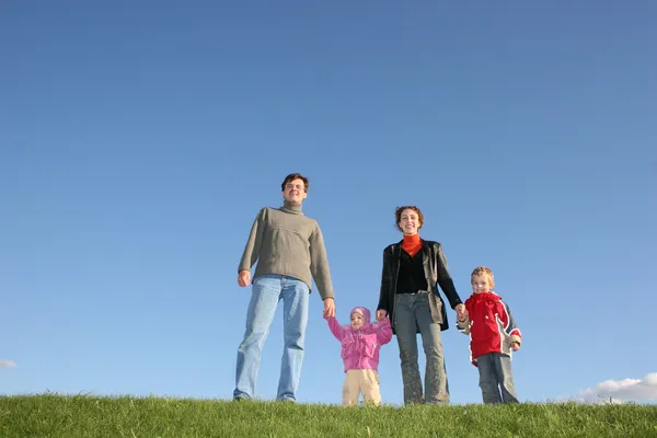 Семья из четырех человек на траве — стоковое фото