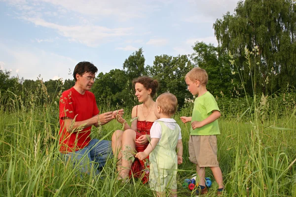 Family of four on meadow 3 (autoshoot from tripod) — Stock Photo, Image