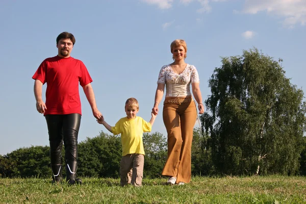 초원에 산책 하는 가족 — 스톡 사진