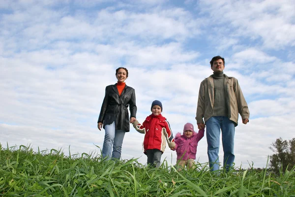 Familj på fyra på gräs — Stockfoto