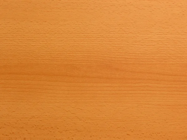 Вільха деревини — стокове фото