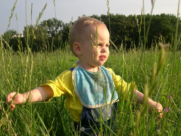 Criança em erva — Fotografia de Stock