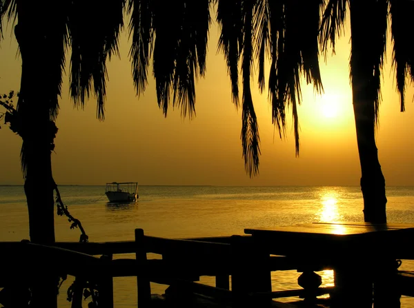 Zoals caribian sunrise 2 — Stockfoto