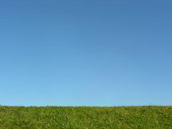 Grama verde sob céu azul — Fotografia de Stock