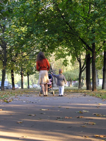 Madre con figlio e bambino passeggiata su autunno ragazzo — Foto Stock
