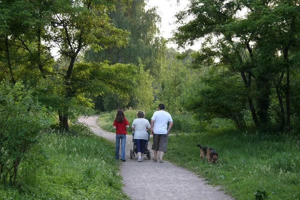 Behind walking family in park — Stock Photo, Image