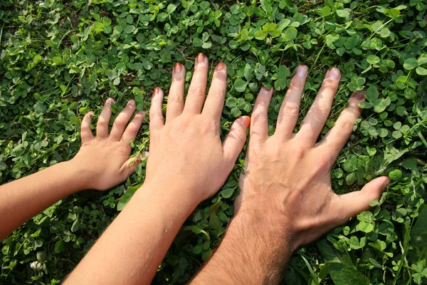 Mãos de família 2 — Fotografia de Stock