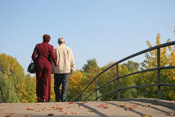 秋の橋の上のカップルの背後にあります。 — ストック写真