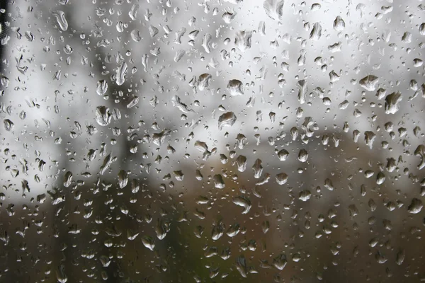 stock image Glass drop water rain