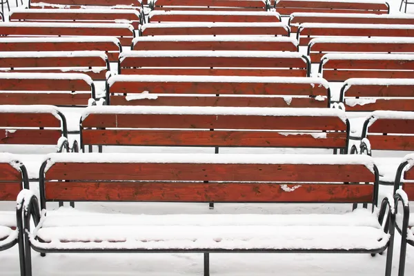 Winter auditorium — Stock Photo, Image