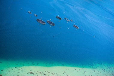 Balık çiftliği yukarıda