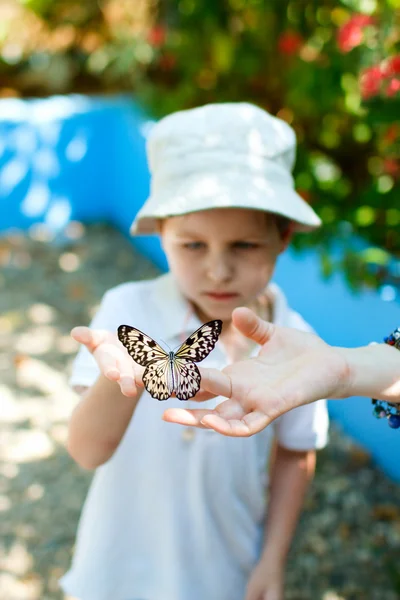 Kid met vlinderniño con mariposa — Stockfoto
