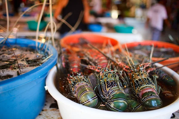Seafood Market — Stok fotoğraf