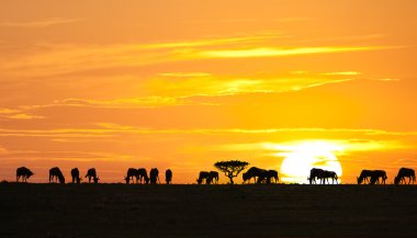 African sunrise clipart