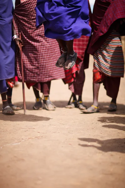 Masai. — Foto de Stock