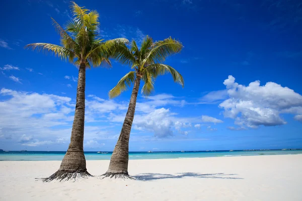 Tropical Paradise — Stock Photo, Image