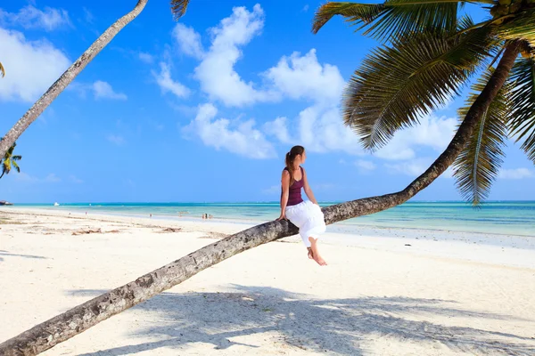 Молода леді сидить на пальмовому дереві — стокове фото
