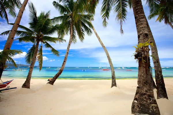 Perfect tropical beach with palm trees — Stock Photo, Image