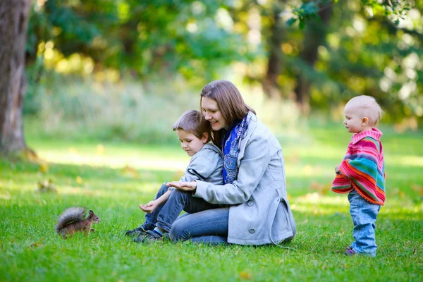 가족과 공원에서 작은 다람쥐 — 스톡 사진