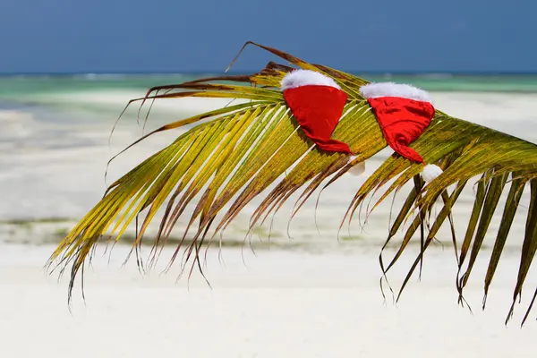 Санта-Клаус в пальмовом отпуске — стоковое фото