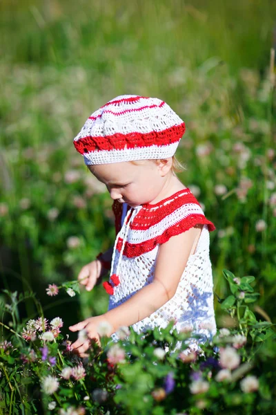 Adorable toddler girl in meadow — Stock Photo, Image